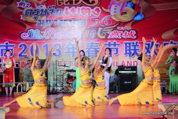 图片4：孔雀起舞献祝福.JPG