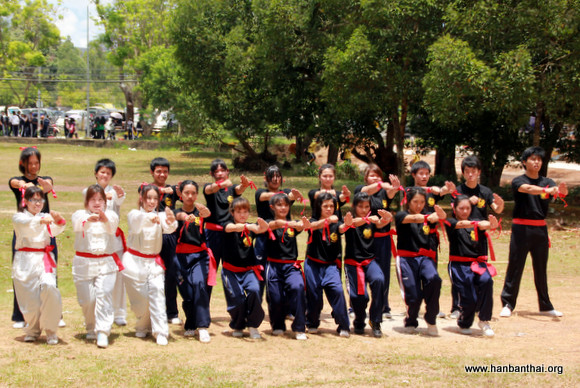 图为学生们在进行中国武术表演.jpg